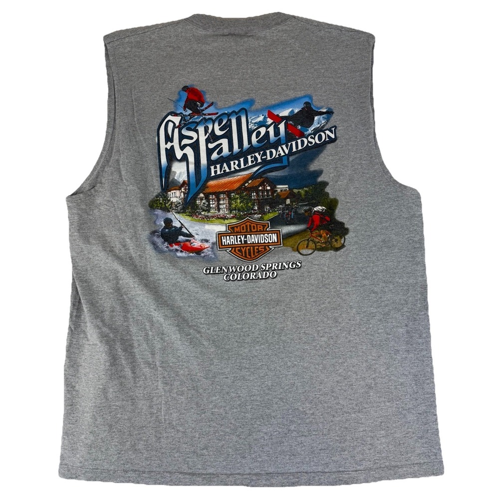 VTG Harley Davidson Tank Top Men's XL Aspen Valley Glenwood‎ Springs Co USA Gray